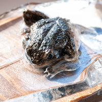 ガラリshowcase】河﨑海斗 金工工芸品 「画狂乃蛙」 – Shop of Hokusai