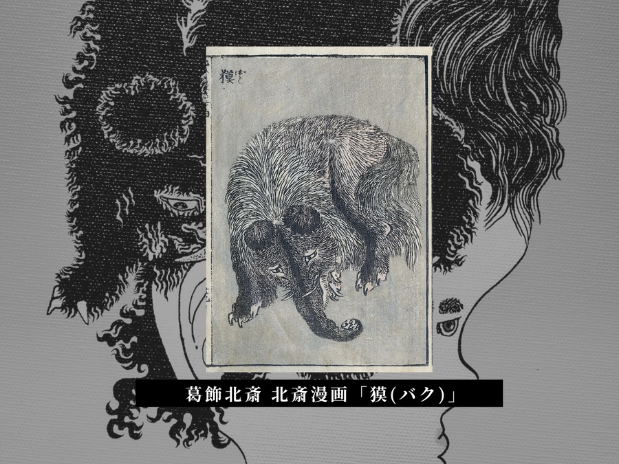 【ガラリshowcase】いけがみのりえ　キャンバスプリント「獏（バク）」