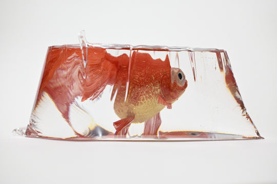 【ガラリshowcase】　【個展作品】河﨑海斗　金工工芸品・鋳金作家　「朱色蝶尾」