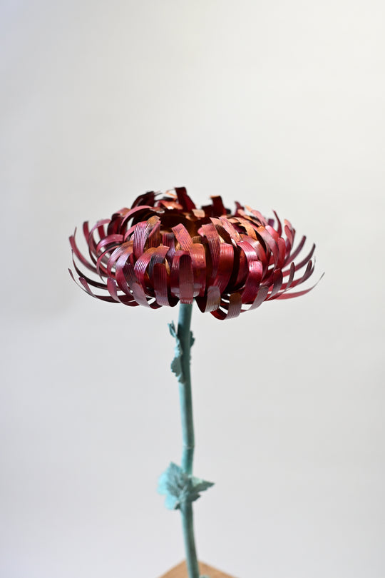 【ガラリshowcase】河﨑海斗　金工工芸品　「画狂ノ菊」