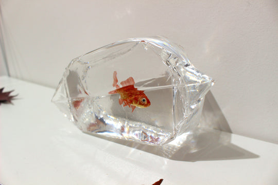 【ガラリshowcase】　【個展作品】河﨑海斗　金工工芸品・鋳金作家　「朱色和金（③）」