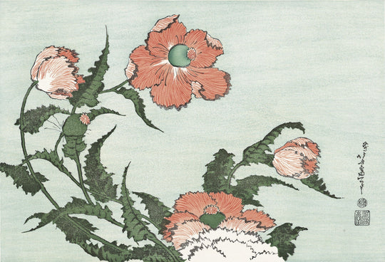 版画 葛飾北斎「罌粟」 / ロックフェラーコレクション花鳥版画展