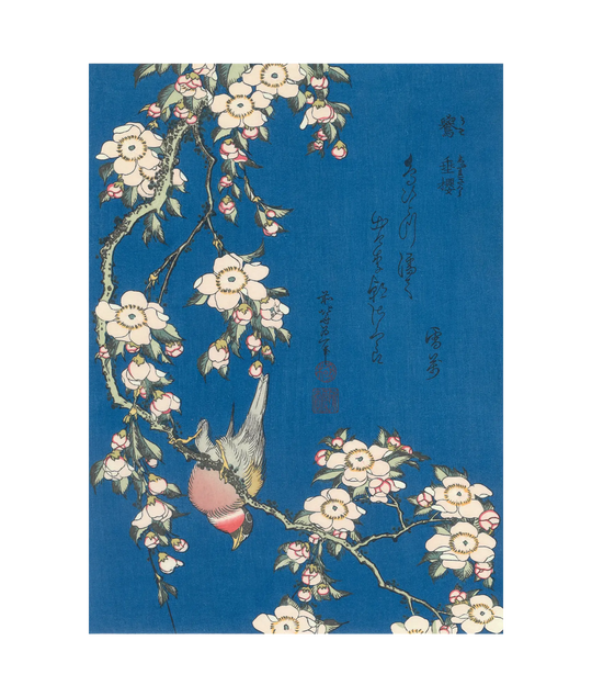 版画 葛飾北斎「鷽に垂桜」 / ロックフェラーコレクション花鳥版画展